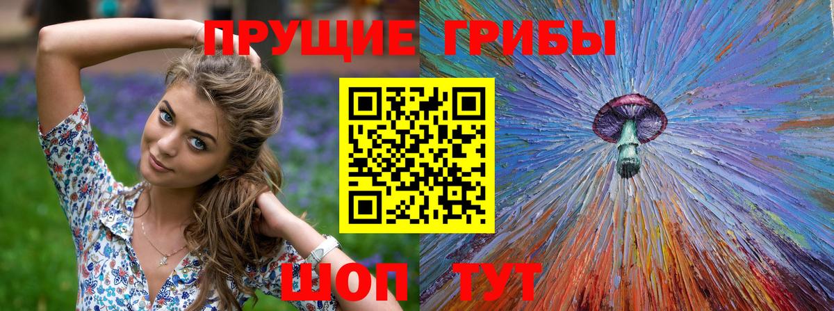 Галлюциногенные грибы Psilocybine cubensis  Псилоцибиновые грибы MAGIC MUSHROOMS  Сибай  Вход с VPN 